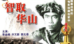 智取华山电影,传奇英雄的巅峰对决