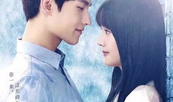 微微一笑很倾城电影,网恋传奇，校园风云