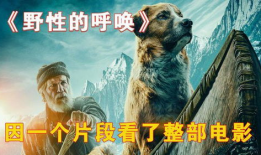 电影野性,探寻自然与心灵的原始共鸣