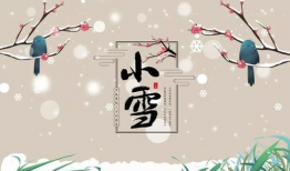 小雪节气,冬日里的诗意与温暖