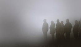 迷雾电影,揭秘电影迷雾背后的惊悚世界