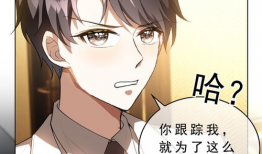 纯情陆少漫画,甜蜜校园恋曲
