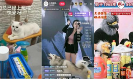 国耐成人性爱直播快乐器,探索新型娱乐体验的边界