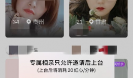 性爱聊天直播间,暗流涌动的虚拟世界