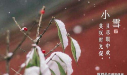 小雪节气,冬日里的诗意与温暖